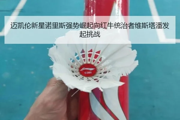 mai-kai-lun-xin-xing-nuo-li-si-qiang-shi-jue-qi-xiang-hong-niu-tong-zhi-zhe-wei-si-ta-pan-fa-qi-tiao-zhan-3-506.jpg