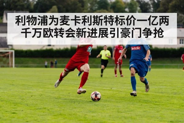 利物浦为麦卡利斯特标价一亿两千万欧转会新进展引豪门争抢